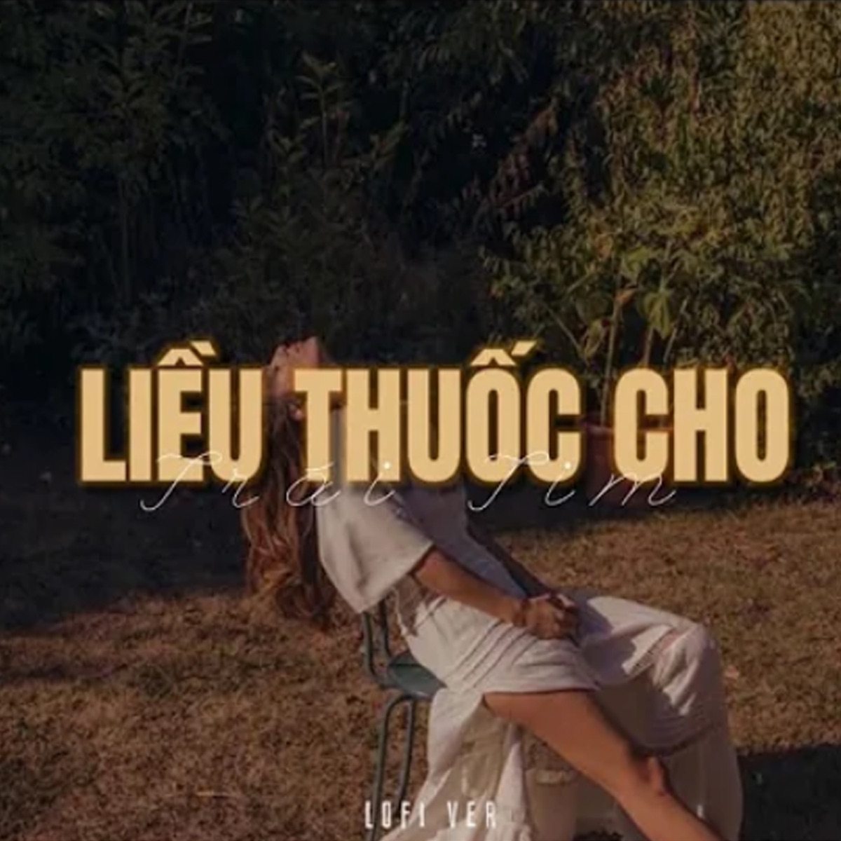 Liều Thuốc Cho Trái Tim (Lofi) - Single by Nguyễn Đình Vũ, Neko Lê & KProx album cover