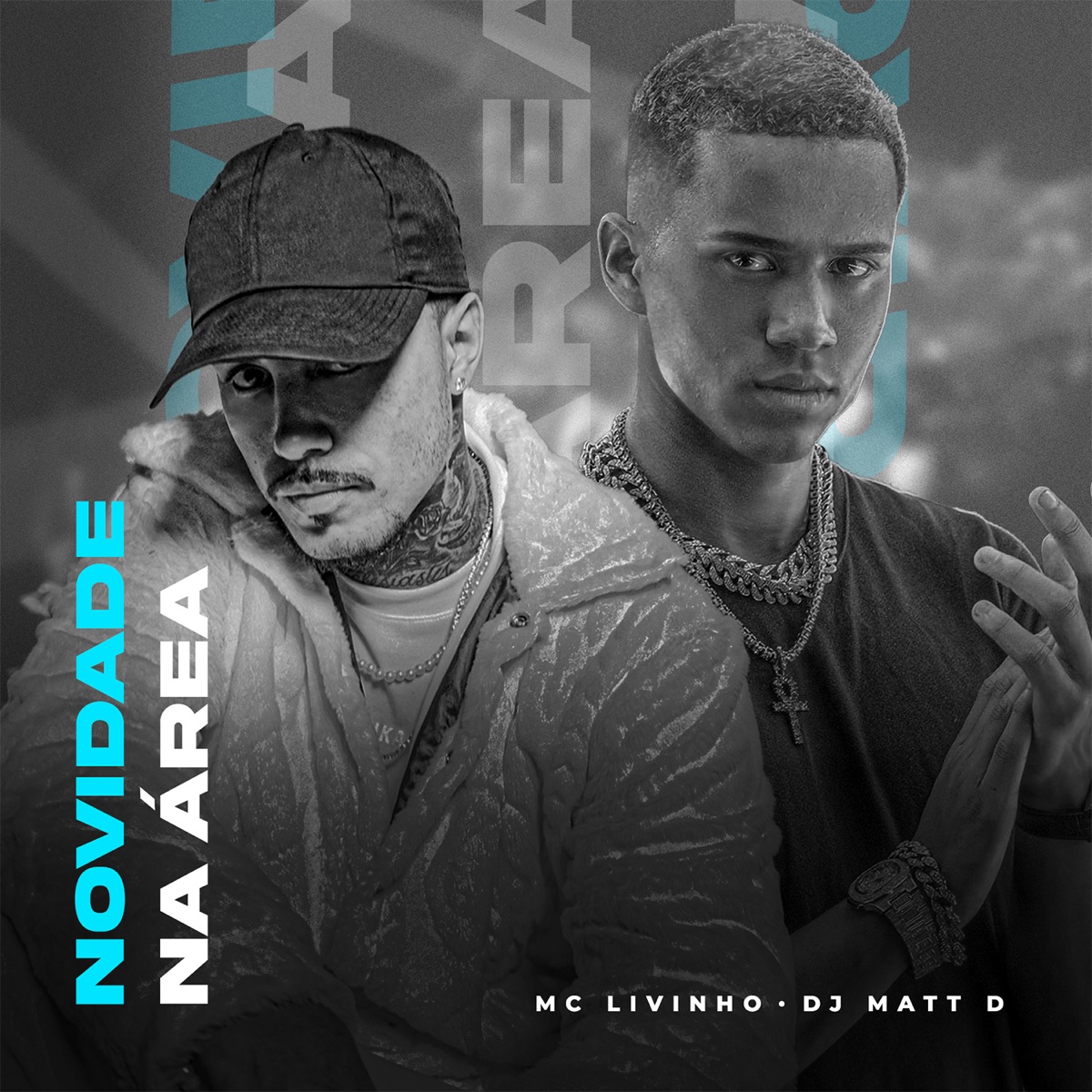 Novidade na Área - Single by DJ Matt D & MC Livinho album cover