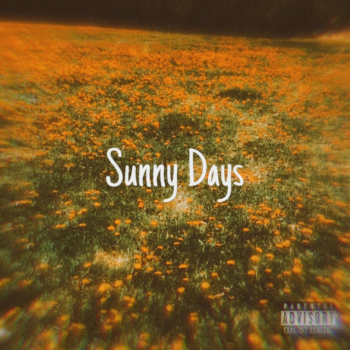 Sunny Days - Single by Jackk the Ripper album cover