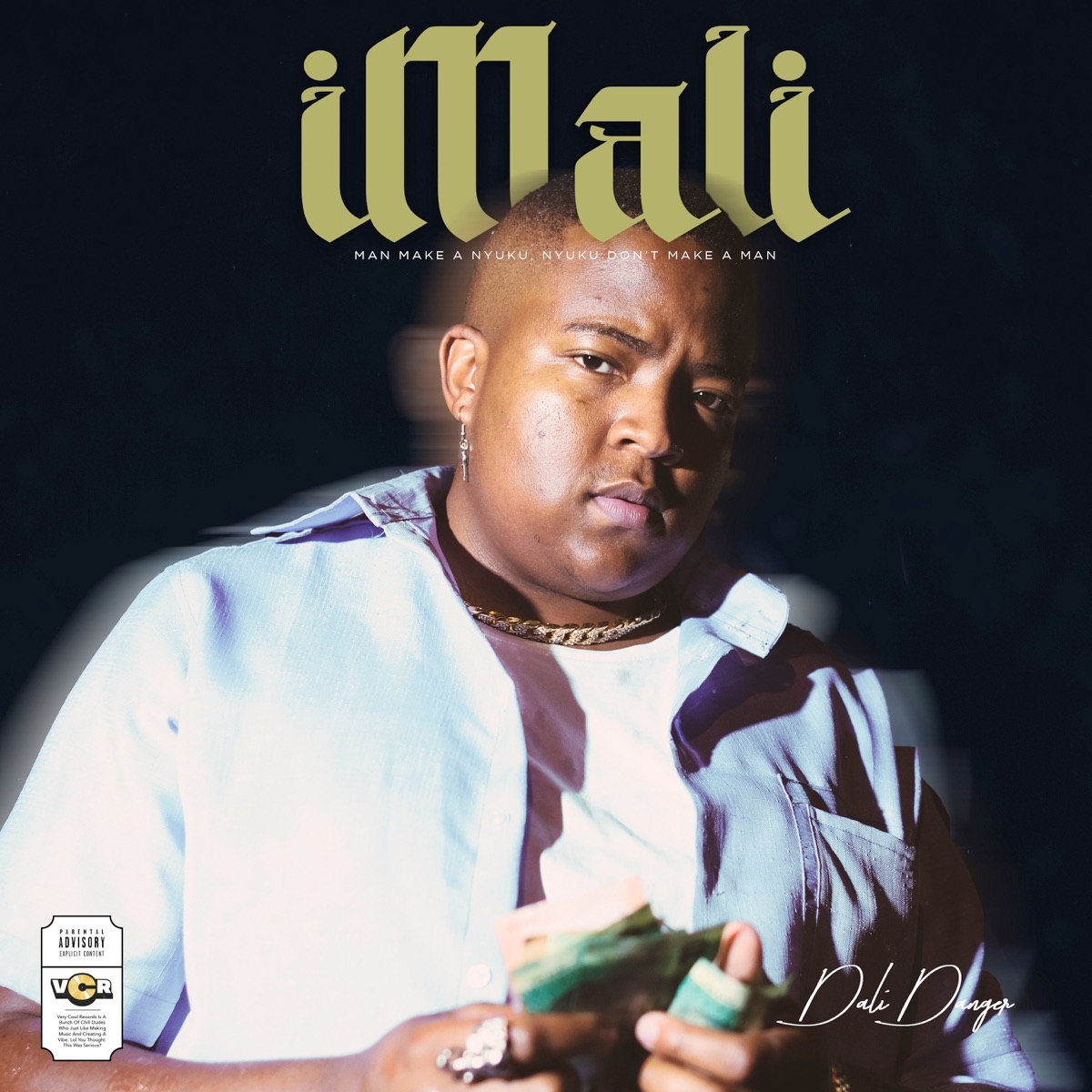 iMali - Single by Dali Danger album cover