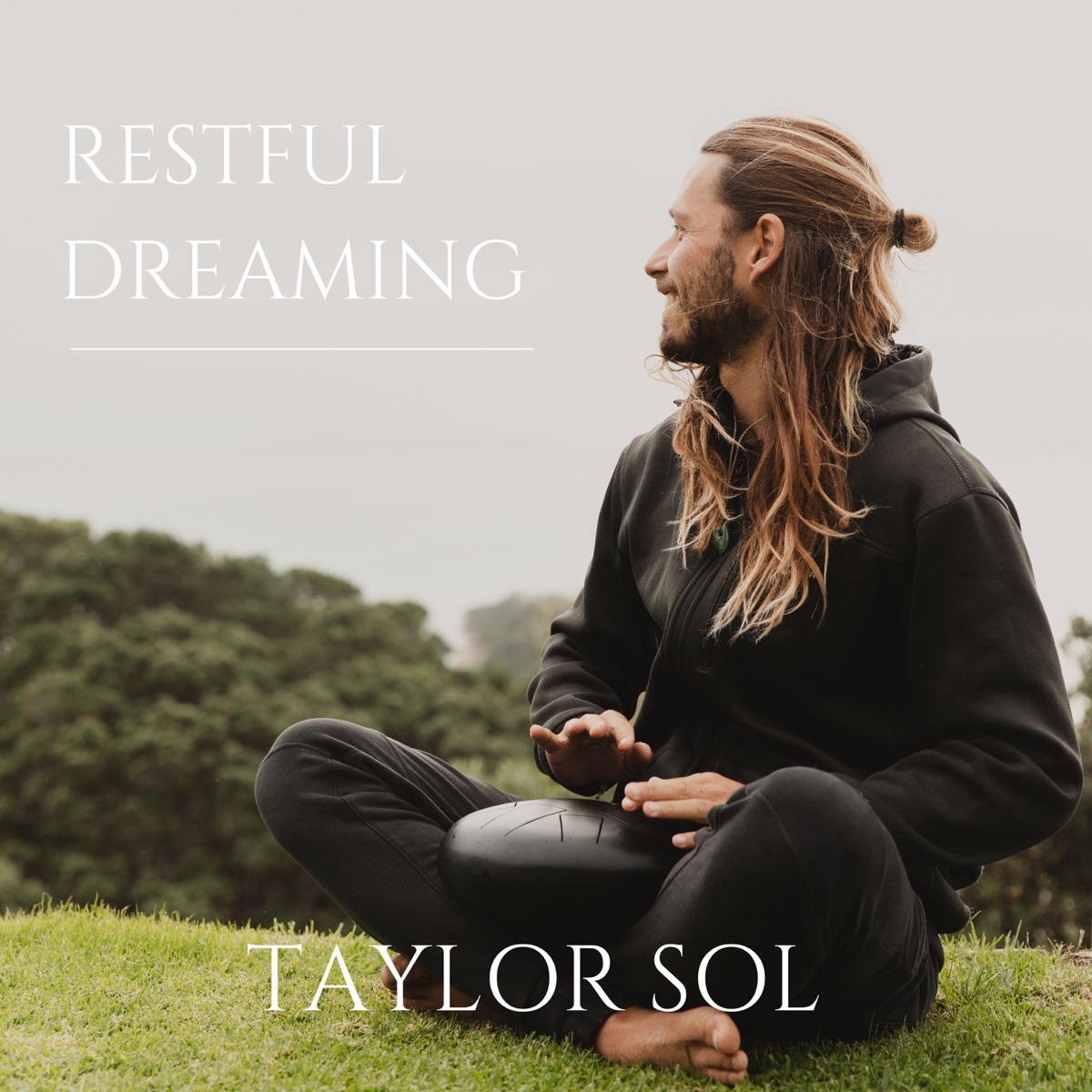Restful Dreaming - Single by Taylor Kirk album cover