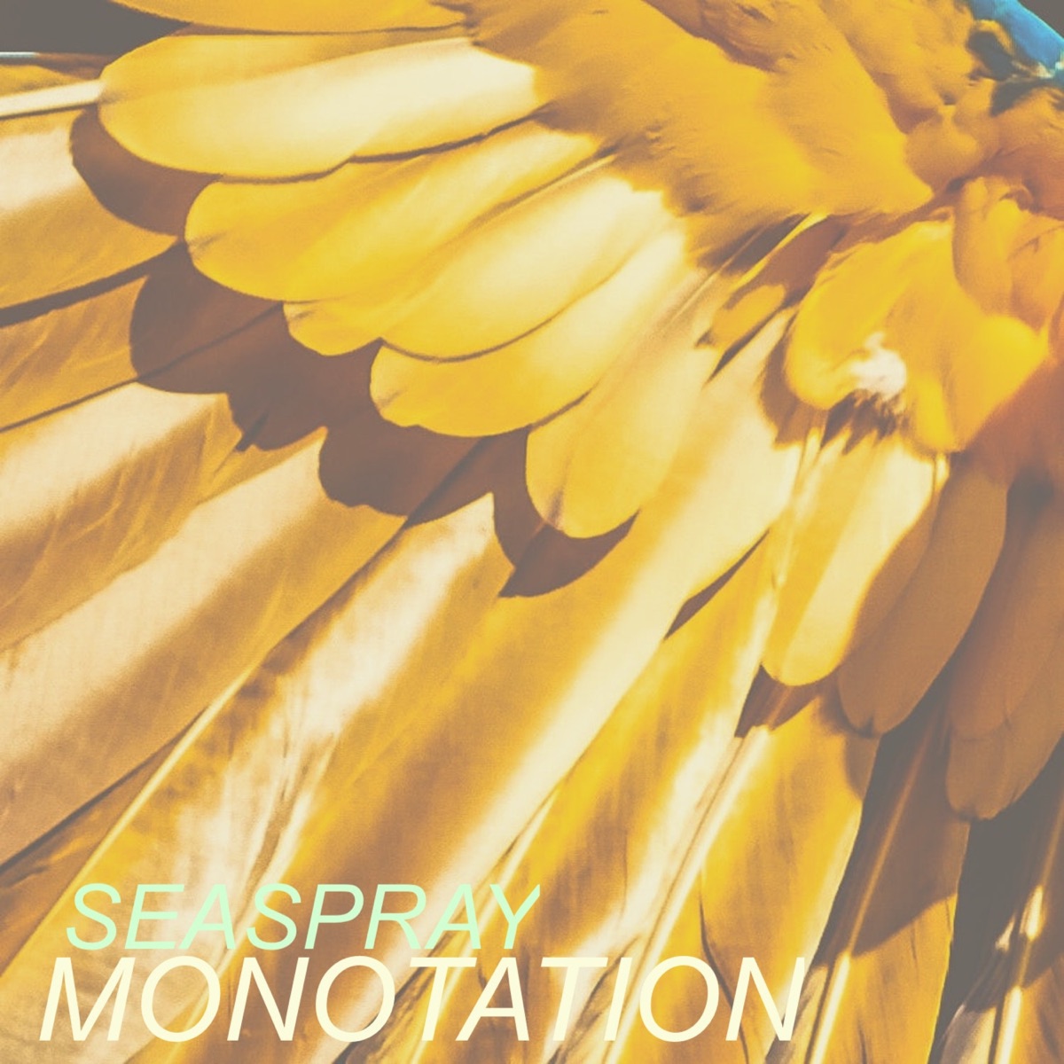 Monotation - Single by Seaspray & Guzimi album cover
