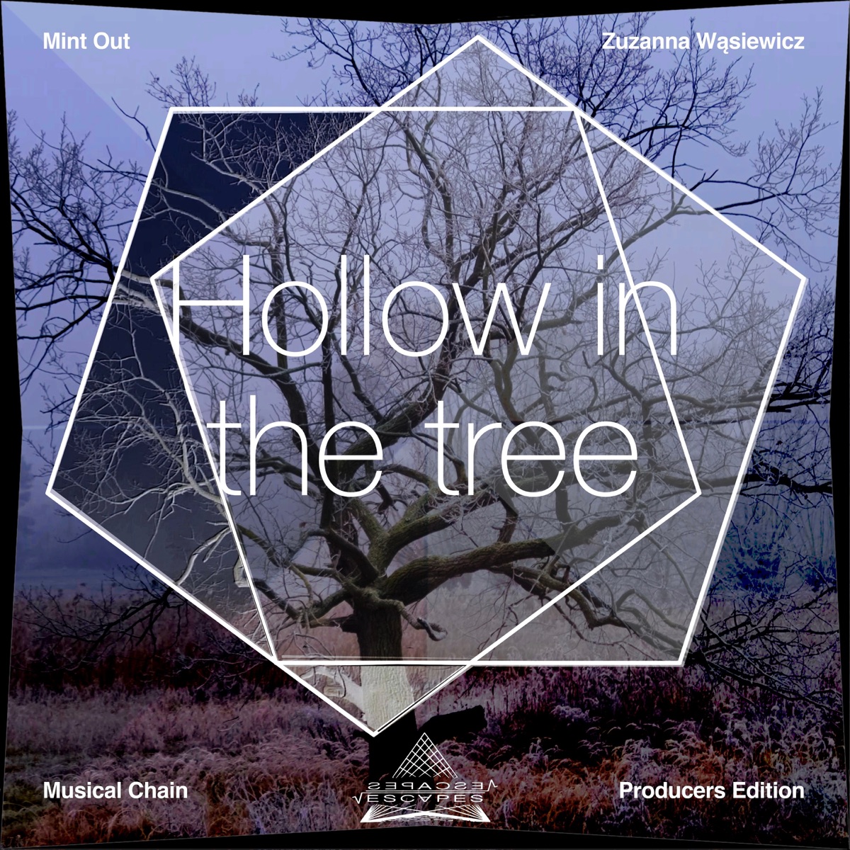 Hollow in the Tree - Single by Baltic Sea Philharmonic & Kristjan Järvi album cover