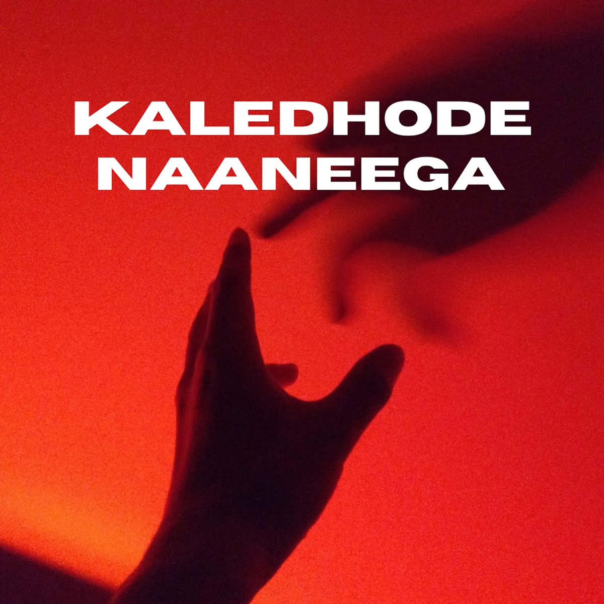 Kaledhode Naaneega - Single by Kishan Bijjur & Nayan Meti album cover