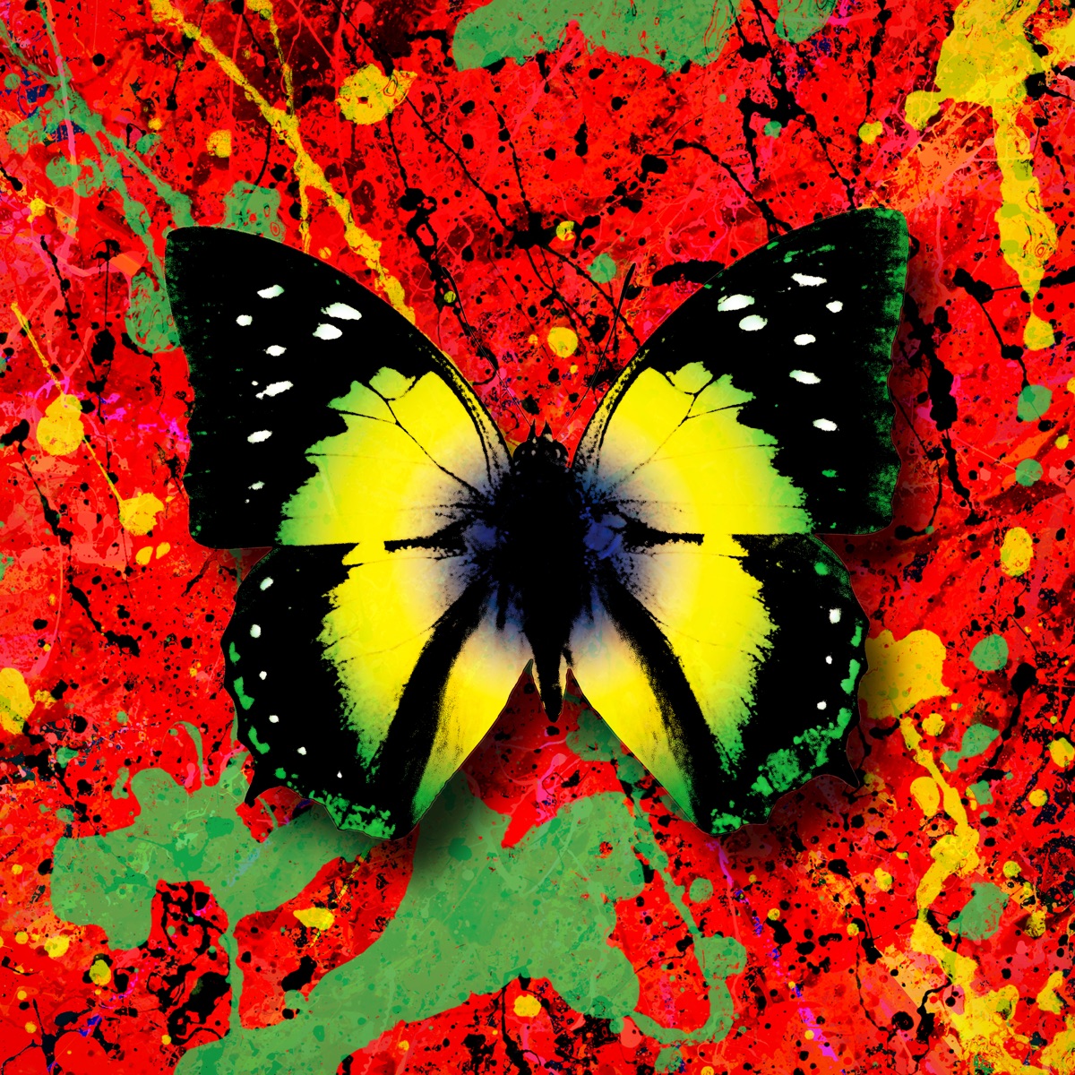 2step (feat. Chefin) - Single by Ed Sheeran album cover