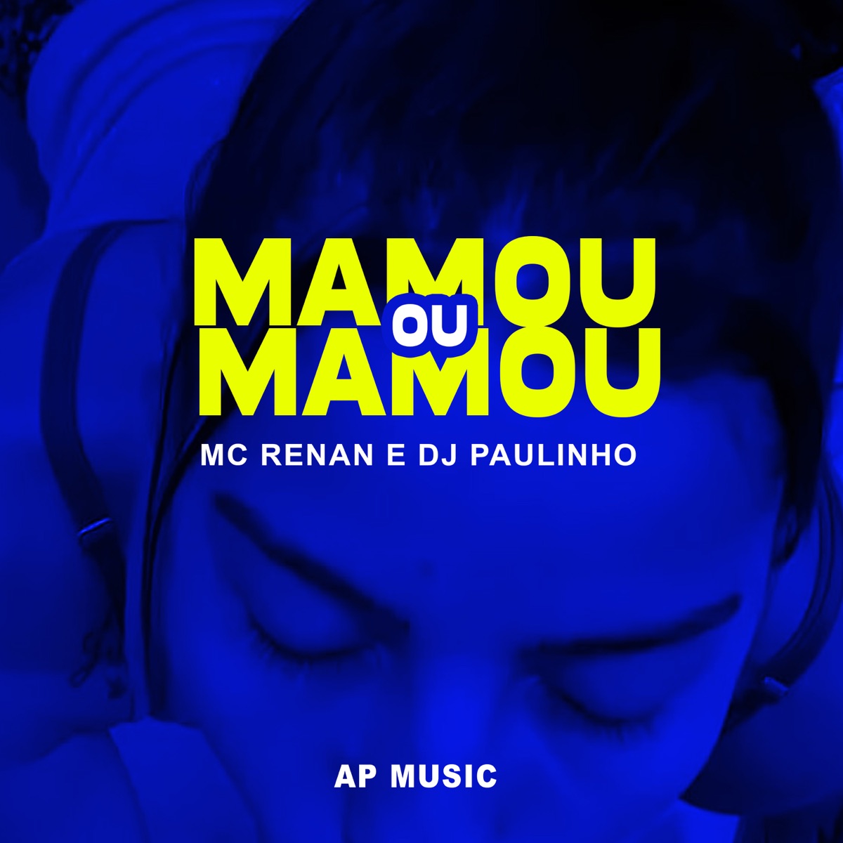 MAMOU OU NÃO MAMOU - Single by Dj Paulinho album cover
