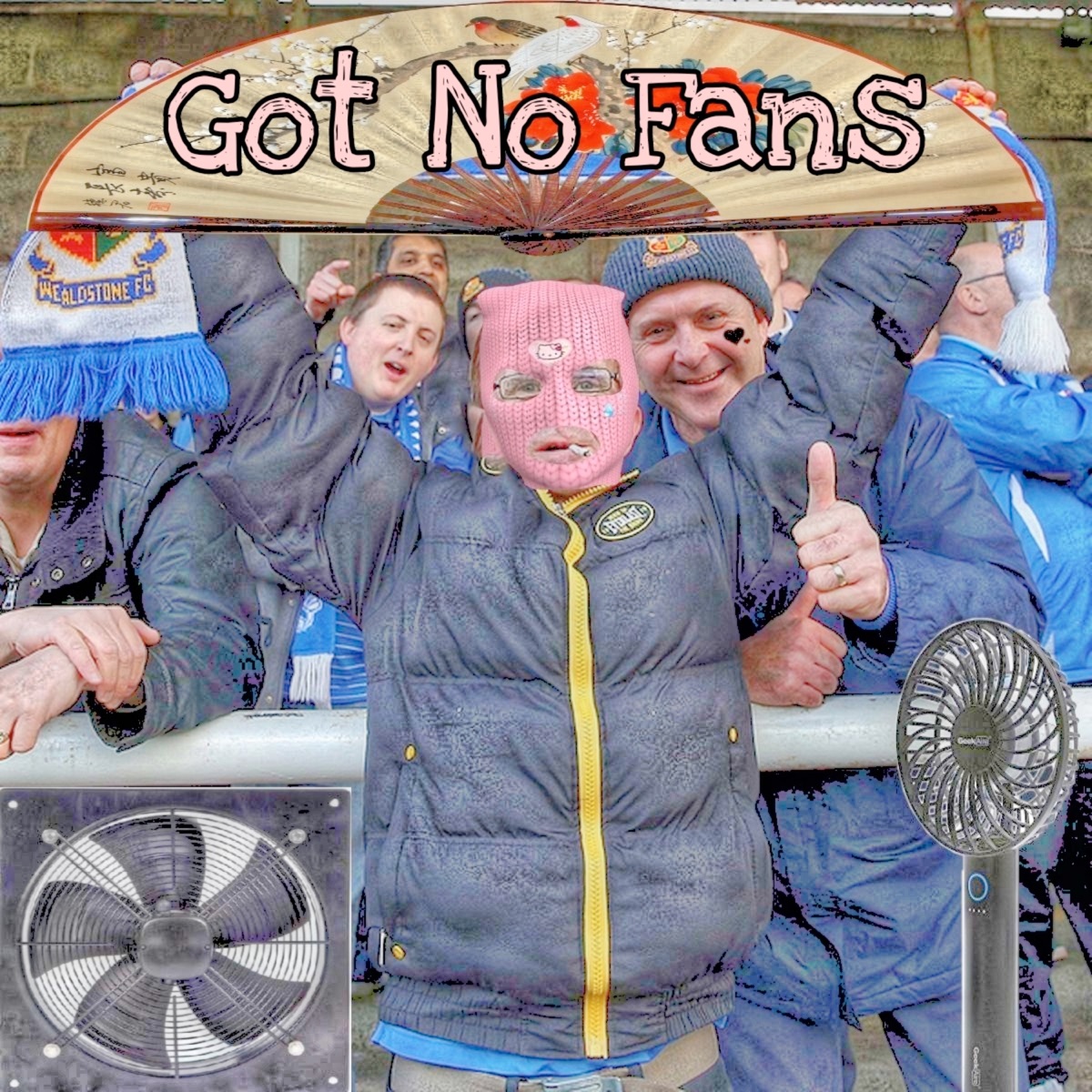 Got No Fans - Single by Cassin album cover