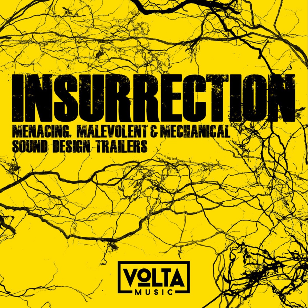 Insurrection by Enrico Cacace & Paul Russell album cover