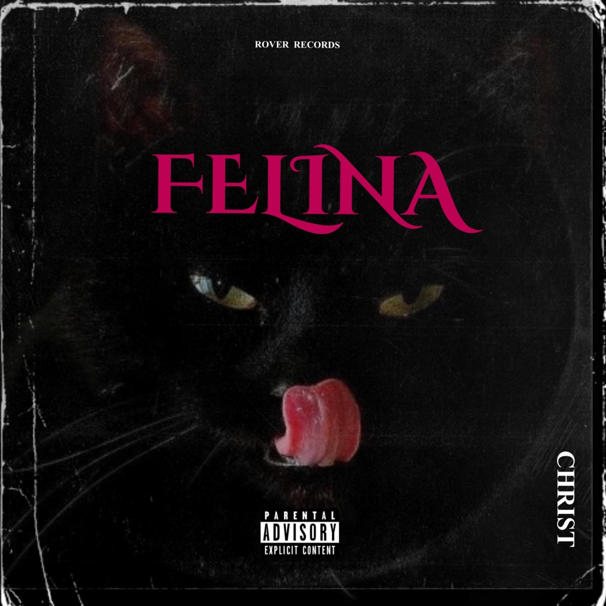 Felina - Single by Gui Christ album cover