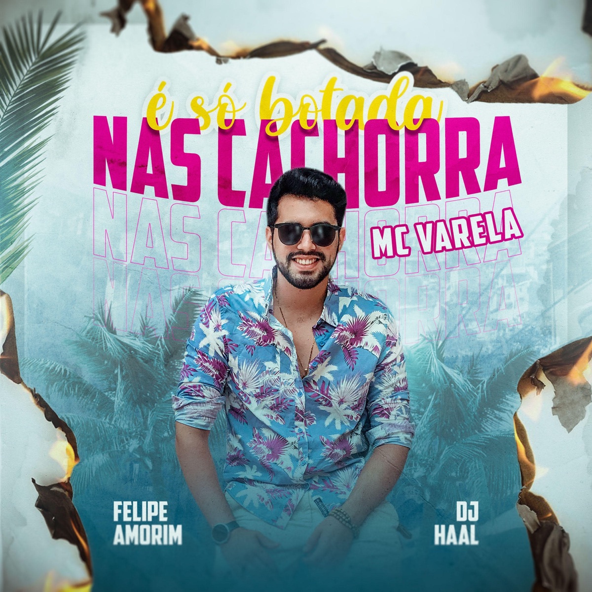 É só Botada nas Cachorra - Mandelão (feat. Felipe Amorim) - Single by Mc Varela & DJ Haal album cover
