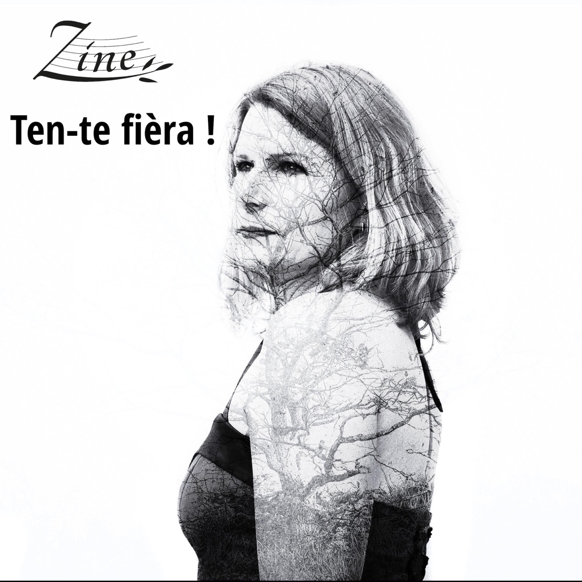 Ten-te fièra ! (feat. Steve Villa Massone & Cath Lubatti) [version longue piano] - Single by Zine album cover