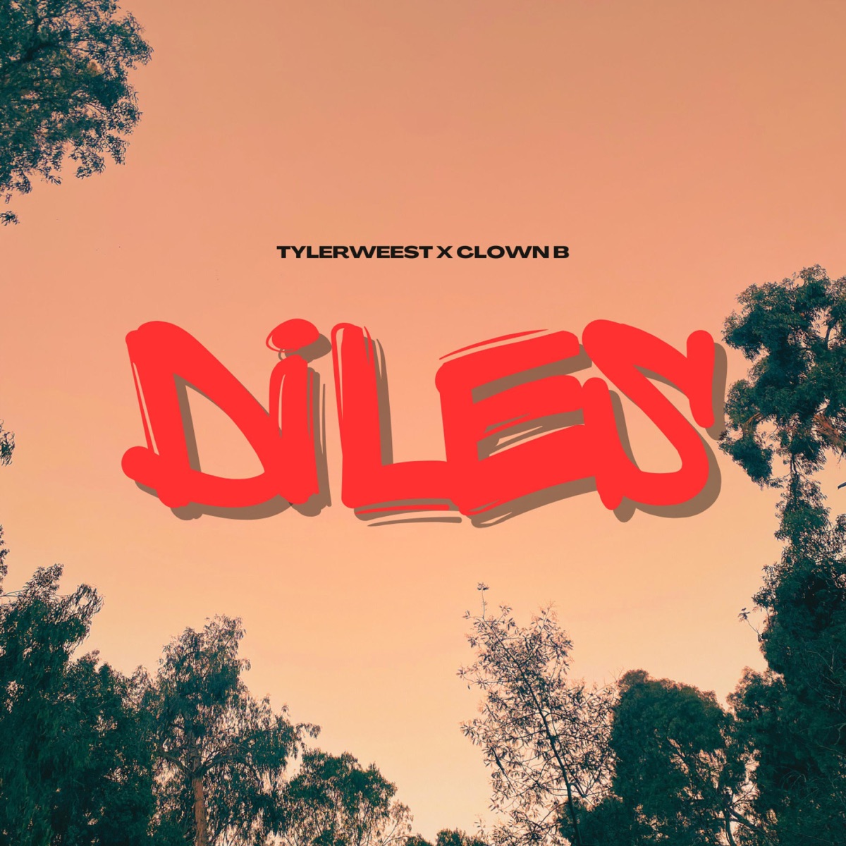 DILES (feat. Clownb) - Single by TylerWeest album cover