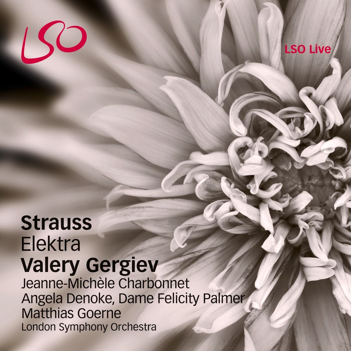 Strauss: Elektra by London Symphony Orchestra, Valery Gergiev, Jeanne-Michele Charbonnet, Angela Denoke, Dame Felicity Palmer, Matthias Goerne & Lia Shevtsova album cover