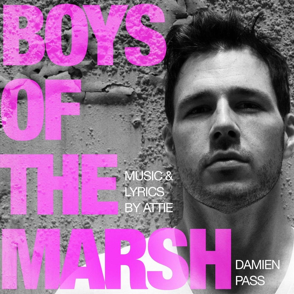 Boys of the Marsh - Single by Damien Pass & Phillip Richardson album cover