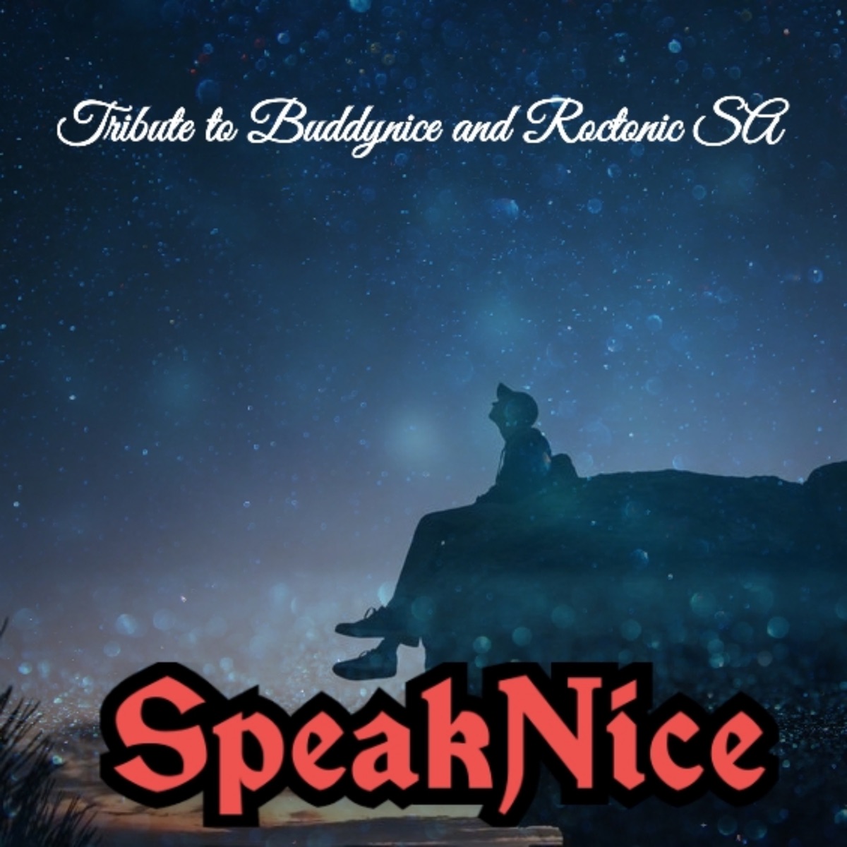 Tribute to Buddynice and Roctonic Sa - Single by SpeakNice album cover