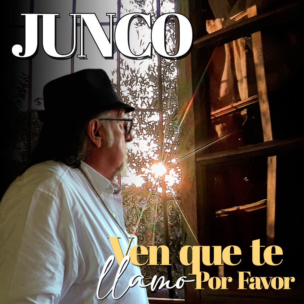 Ven Que Te Llamo por Favor - Single by Junco album cover