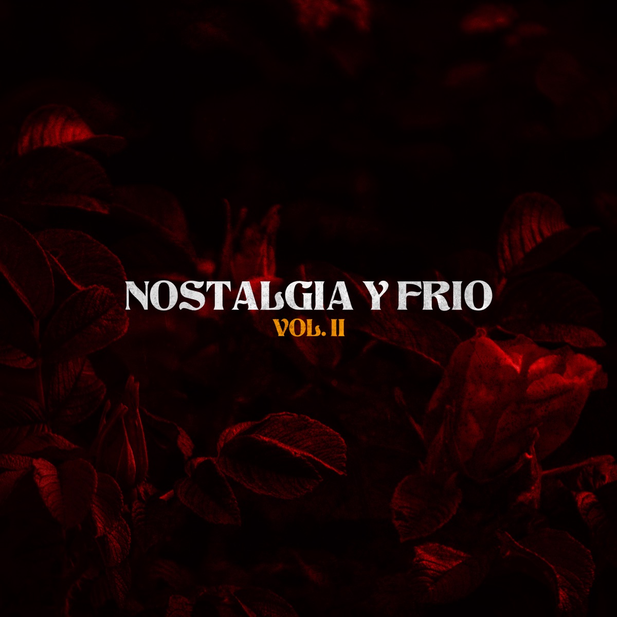 Nostalgia y Frío II - Single by Jaro Cristo & Sin H album cover