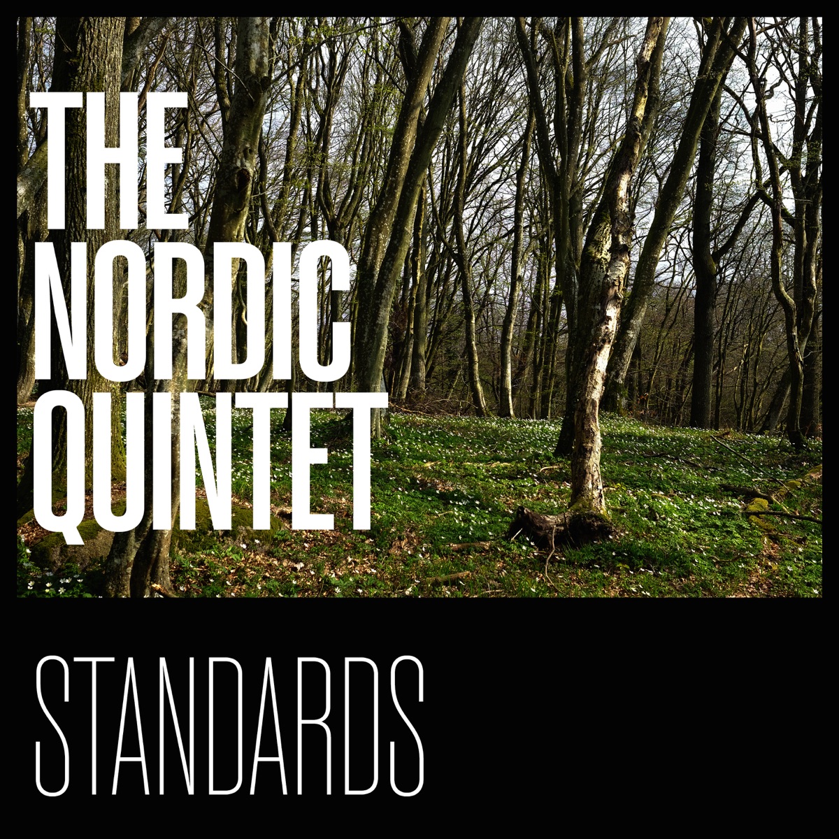 Standards by the Nordic Quintet by Ari Bragi Kárason, Karl-Martin Almqvist, Carl Winther & Anders Mogensen album cover
