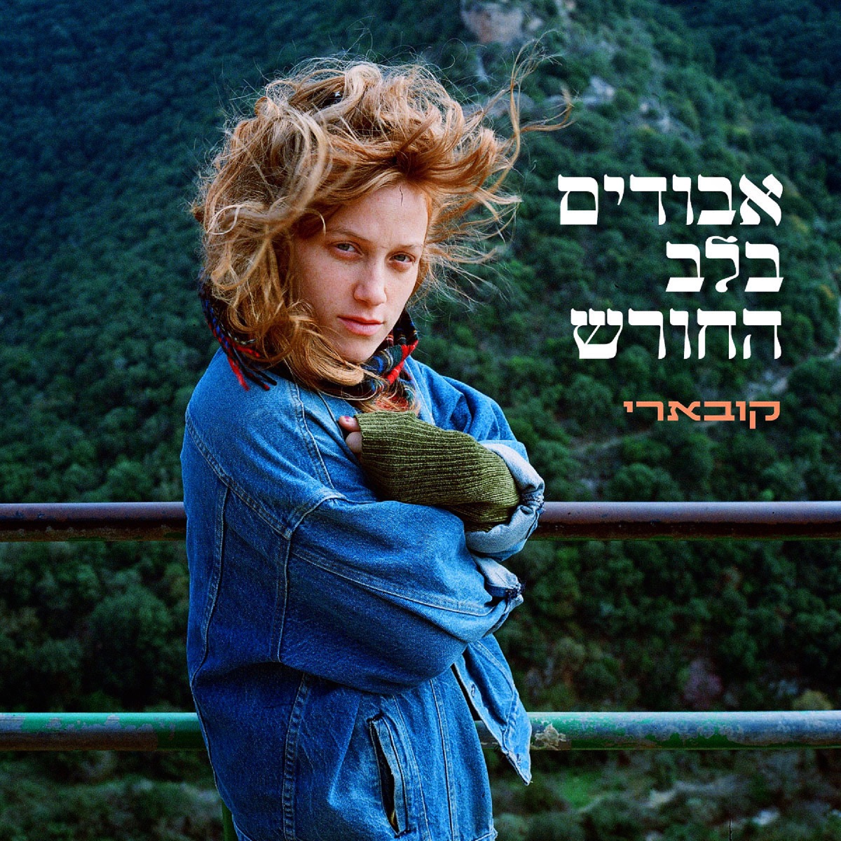 אבודים בלב החורש - Single by Koevary album cover