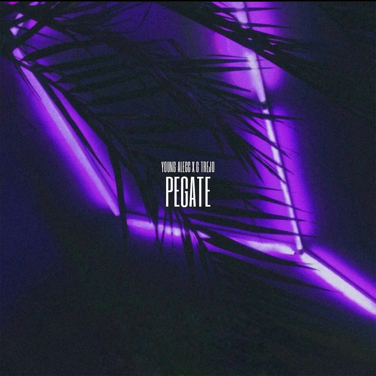 Pegate - Single by Young Alecc & G Trejo album cover