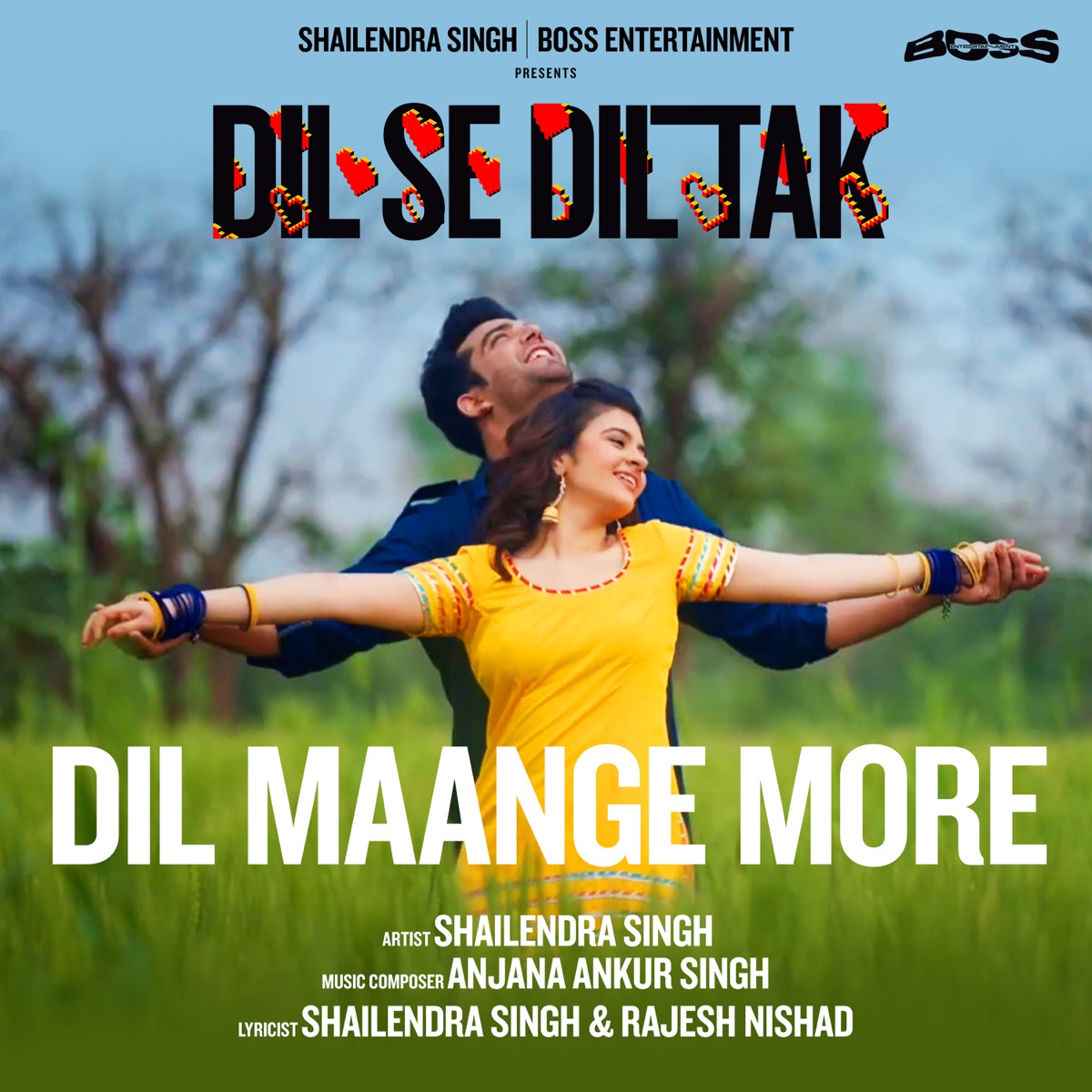 Dil Maange More - Dil Se Dil Tak (with Arsh Mohammed) - Single by Shailendra Singh album cover
