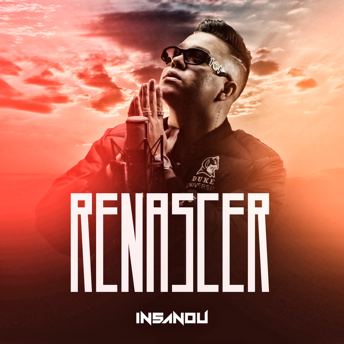 Renascer - Single by Insanou album cover