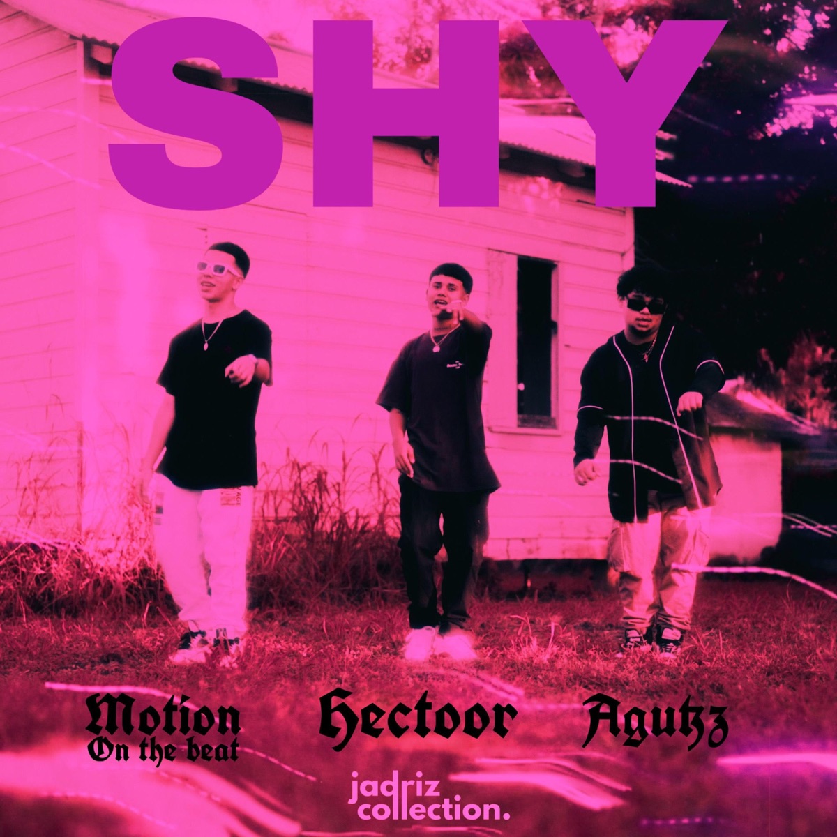 SHY (feat. Agutzz, Motion on the Beat & JADRIZ COLLECTION) - Single by Hectoor album cover