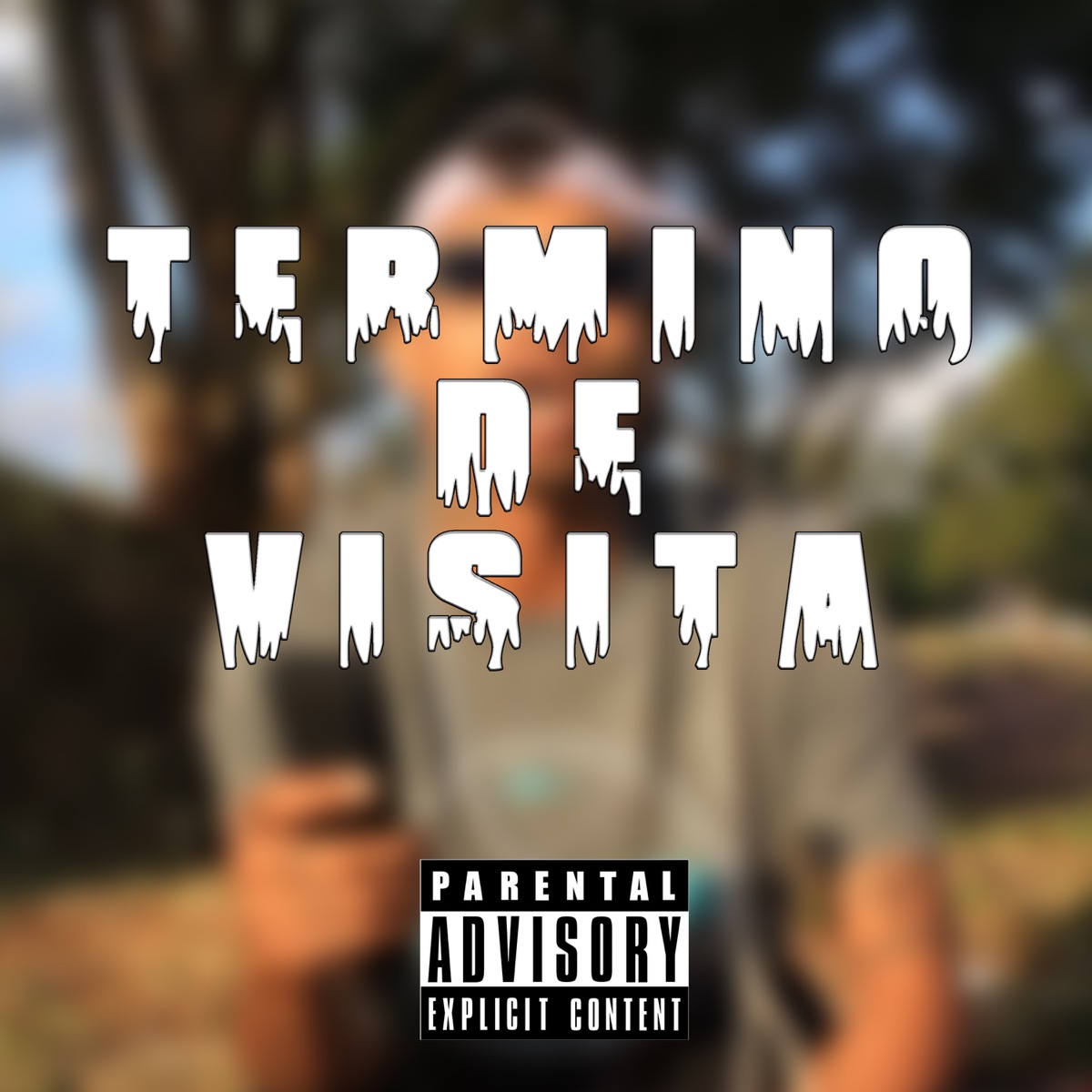 Termino de Visita / Complexo da Saudade - Single by MC Diguinho V.P & Dj Qz Official album cover