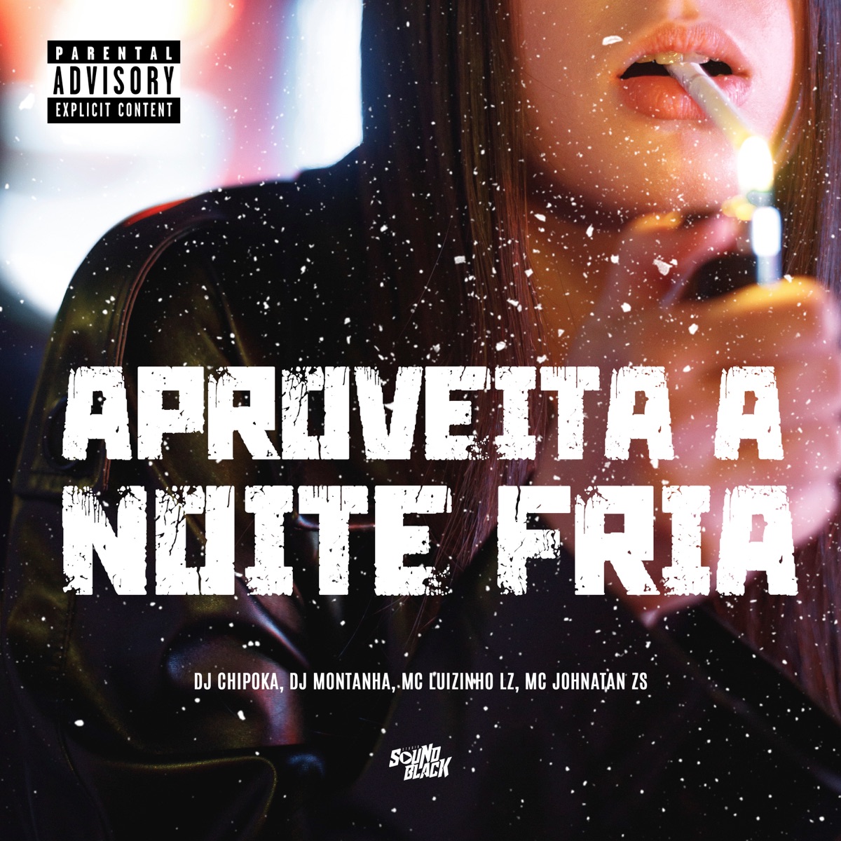Aproveita a Noite Fria - Single by DJ Montanha, DJ Chipoka, Mc Johnatan ZS & Mc Luizinho LZ album cover