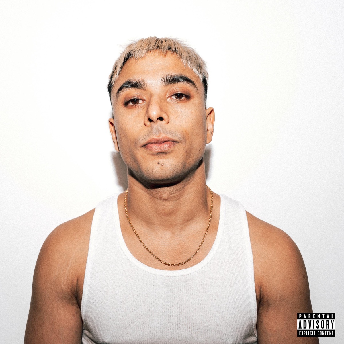 Hard Choices by Gurinder Gill album cover