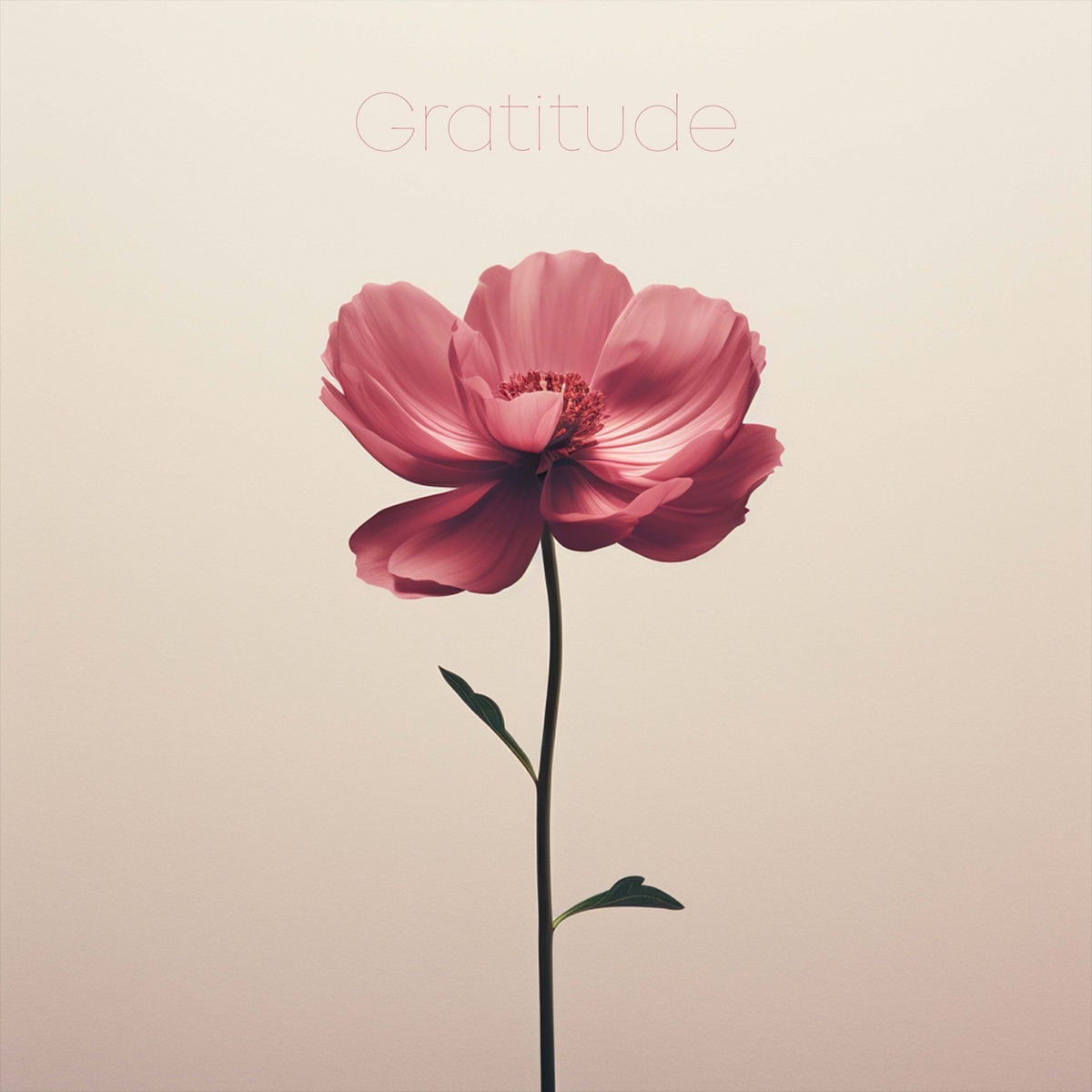 Gratitude - Single by Anthem Worship, Genavieve Linkowski & Mass Anthem album cover