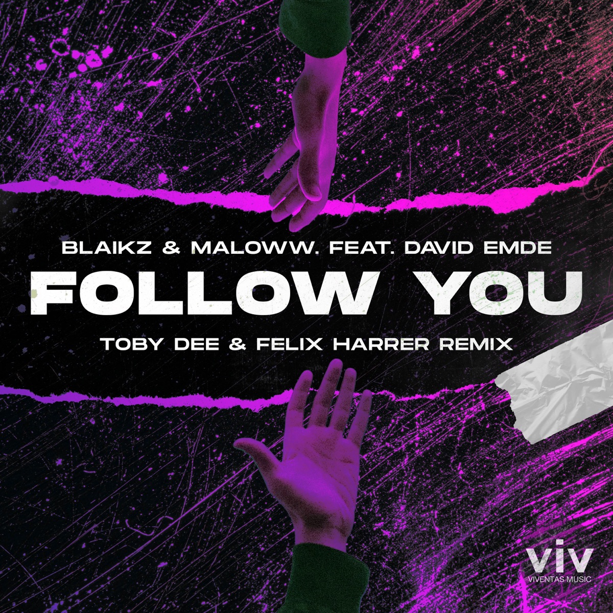 Follow You (Toby DEE & Felix Harrer Remix) [feat. David Emde & maloww.] - Single by Blaikz, Toby DEE & Felix Harrer album cover
