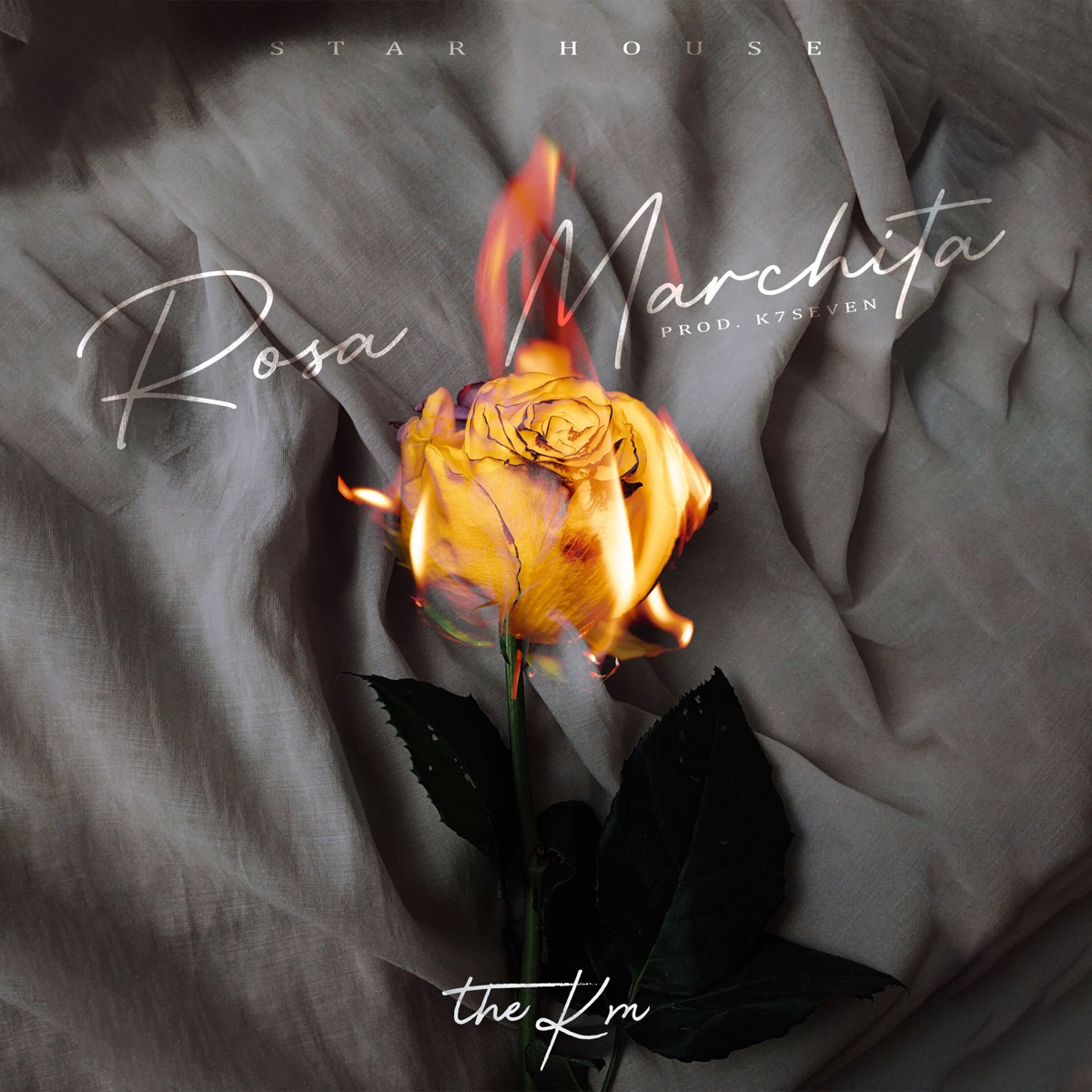 Rosa Marchita - Single by The KM album cover