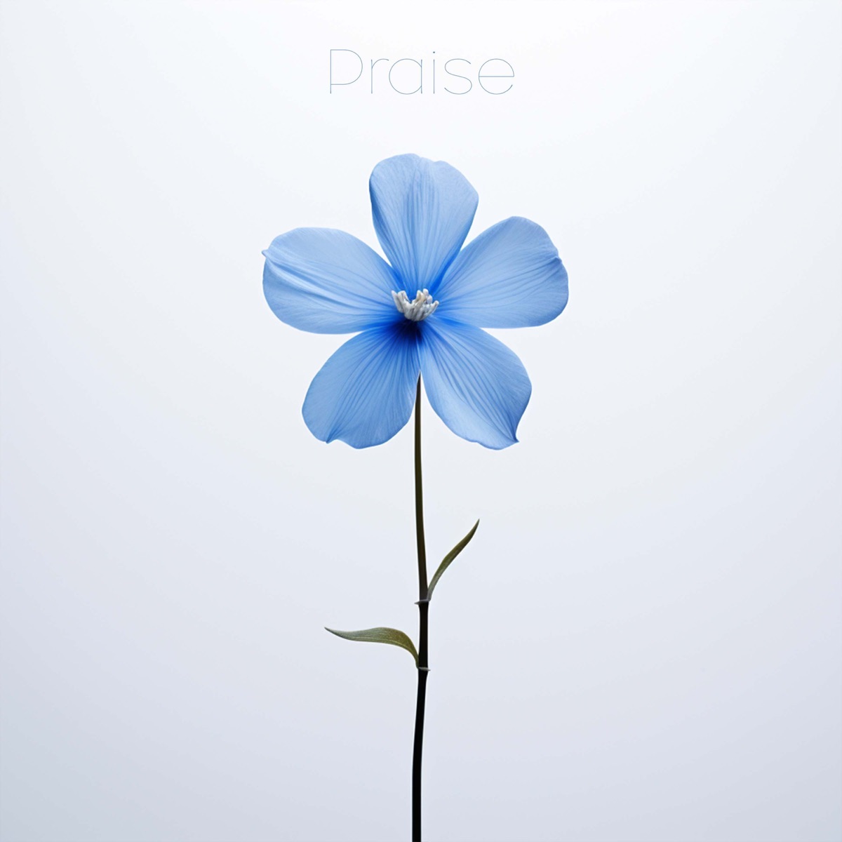 Praise - Single by Anthem Worship, Genavieve Linkowski & Mass Anthem album cover
