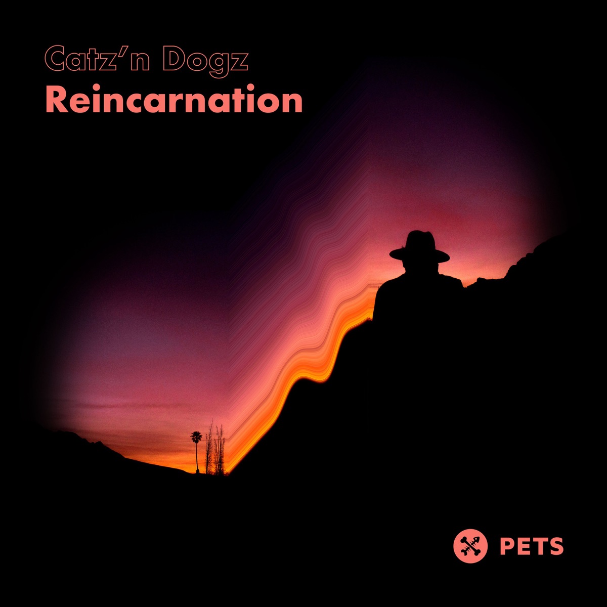 Reincarnation - Single by Catz 'N Dogz album cover