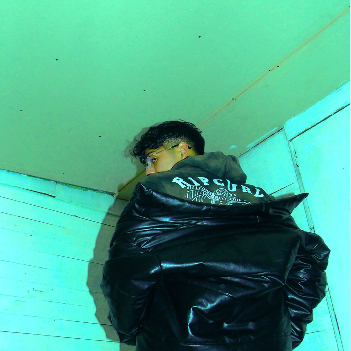 FALSOS - Single by Skinnycat album cover