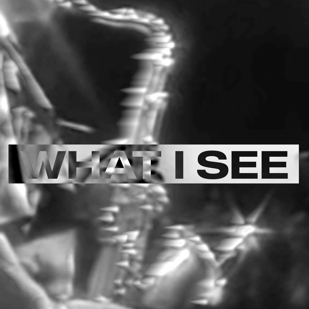 What I See (Radio Edit) [Radio Edit] - Single by Barros album cover