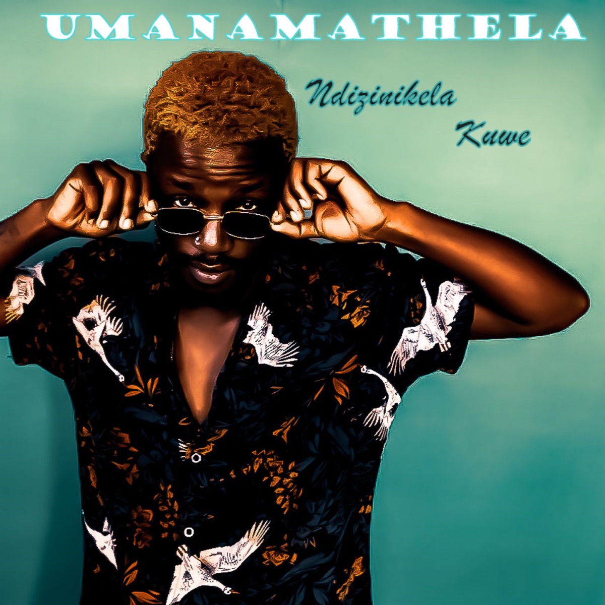 Ndizinikela Kuwe (feat. UManamathela) - Single by Soul Kulture album cover