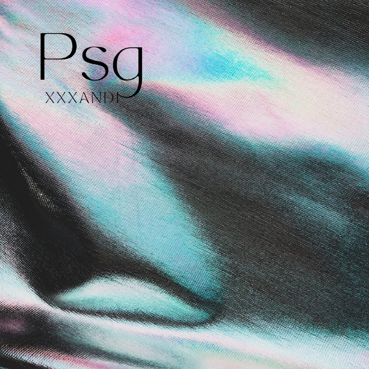 Psg - Single by Xxxandi album cover
