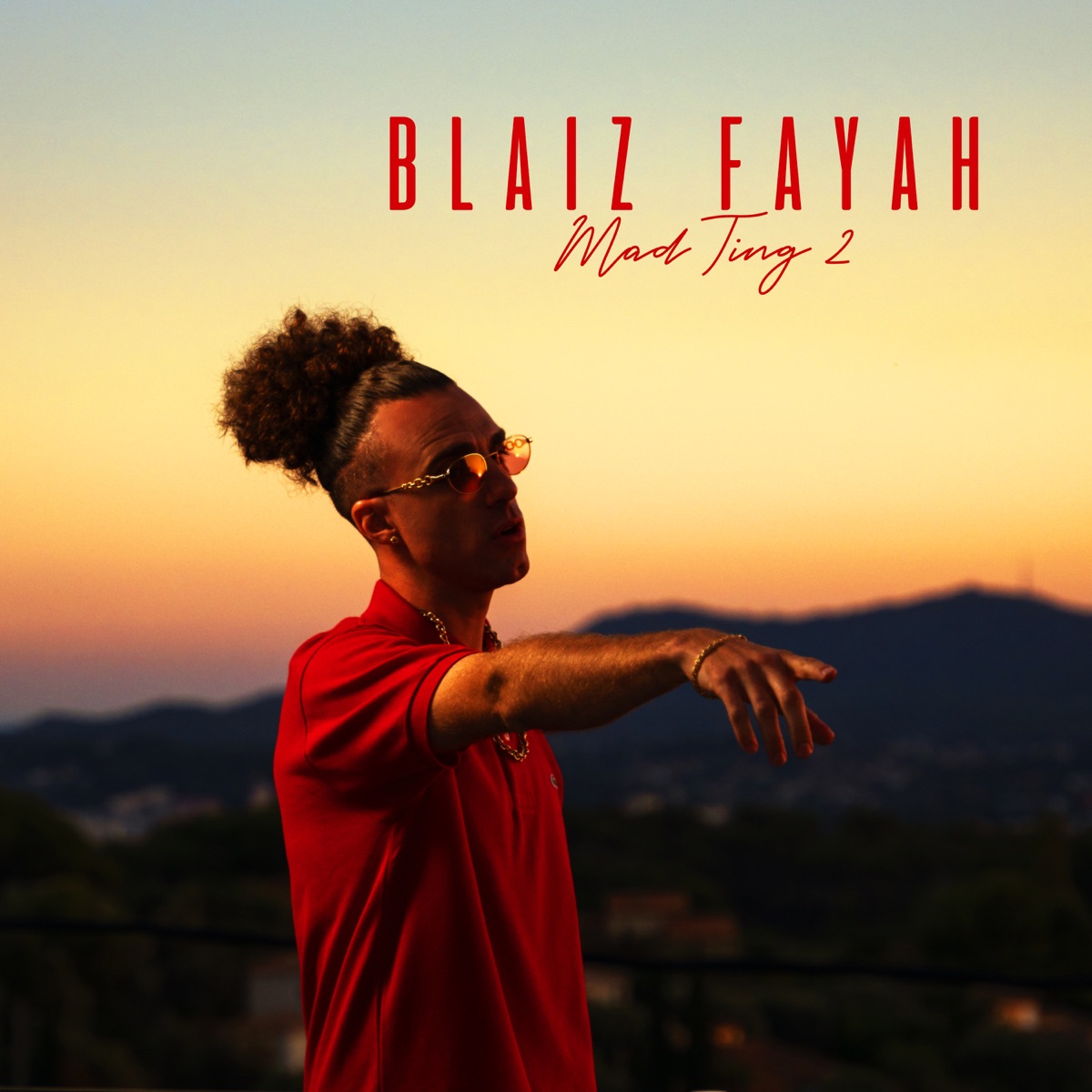 Mad Ting 2 by Blaiz Fayah album cover