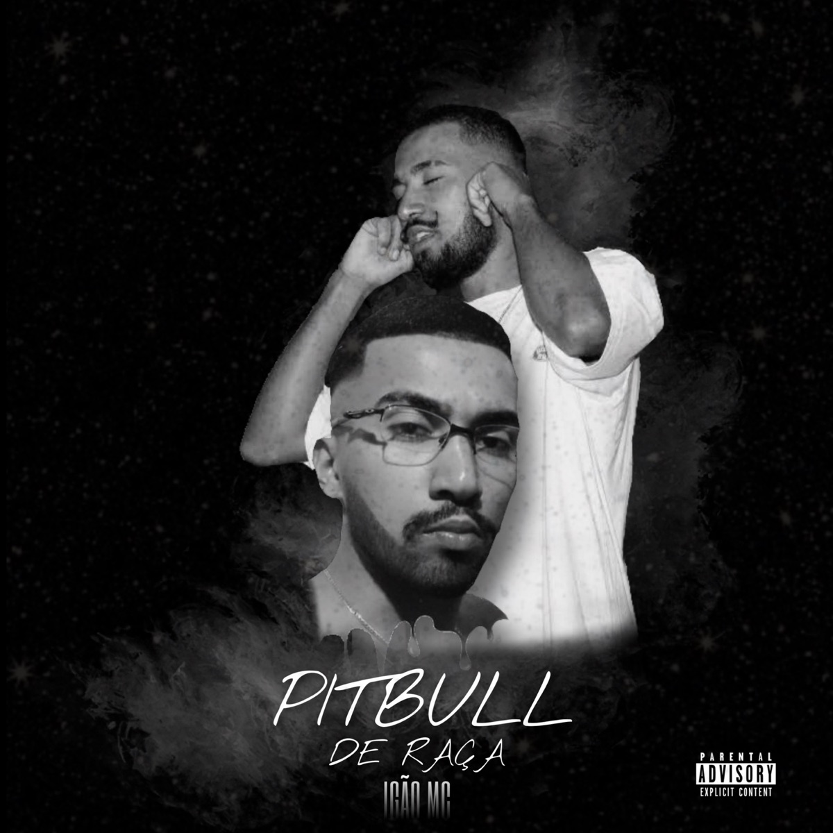 Pitbull de Raça - Single by IGÃO MC & Tudo Nosso album cover