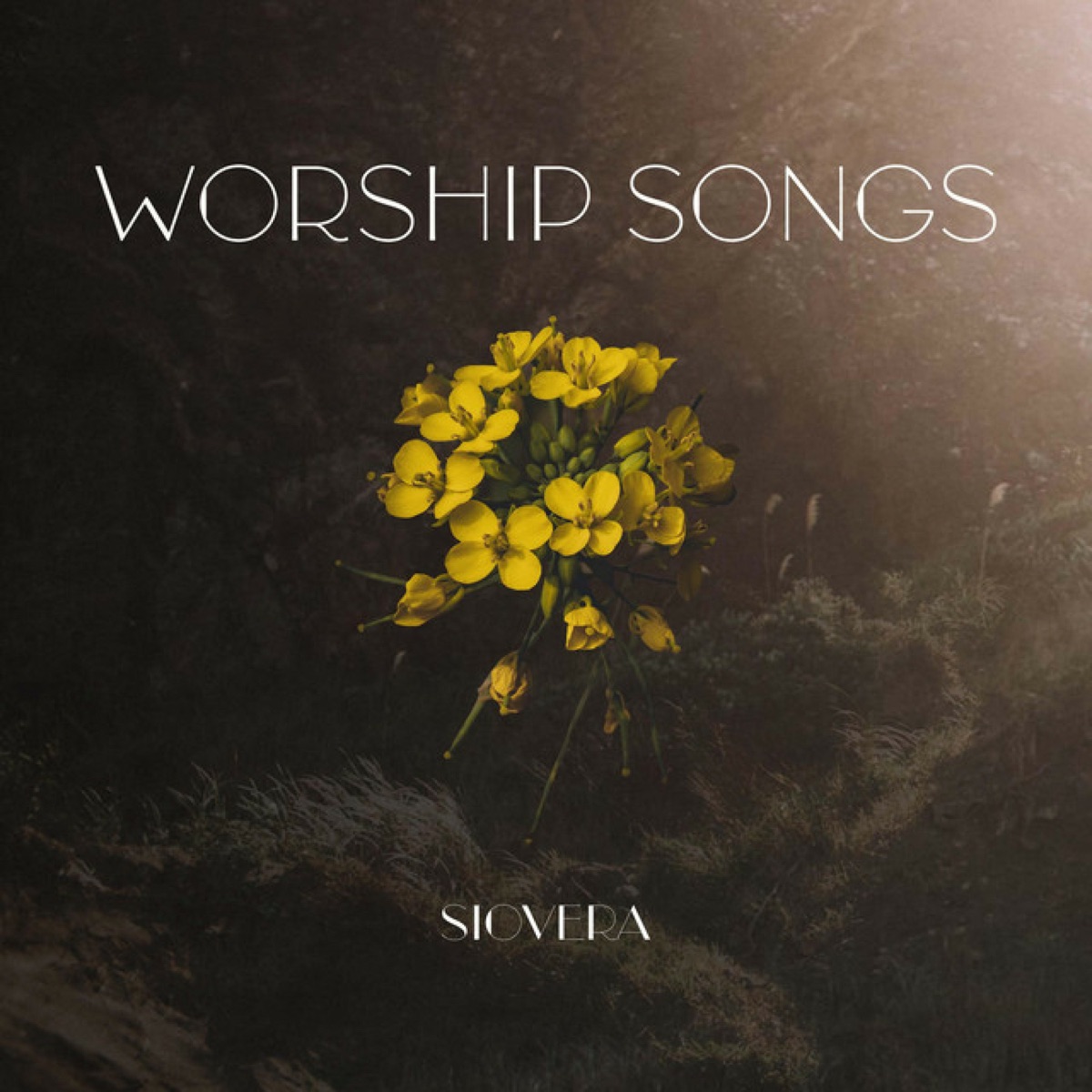 Worship Songs by SioVera album cover