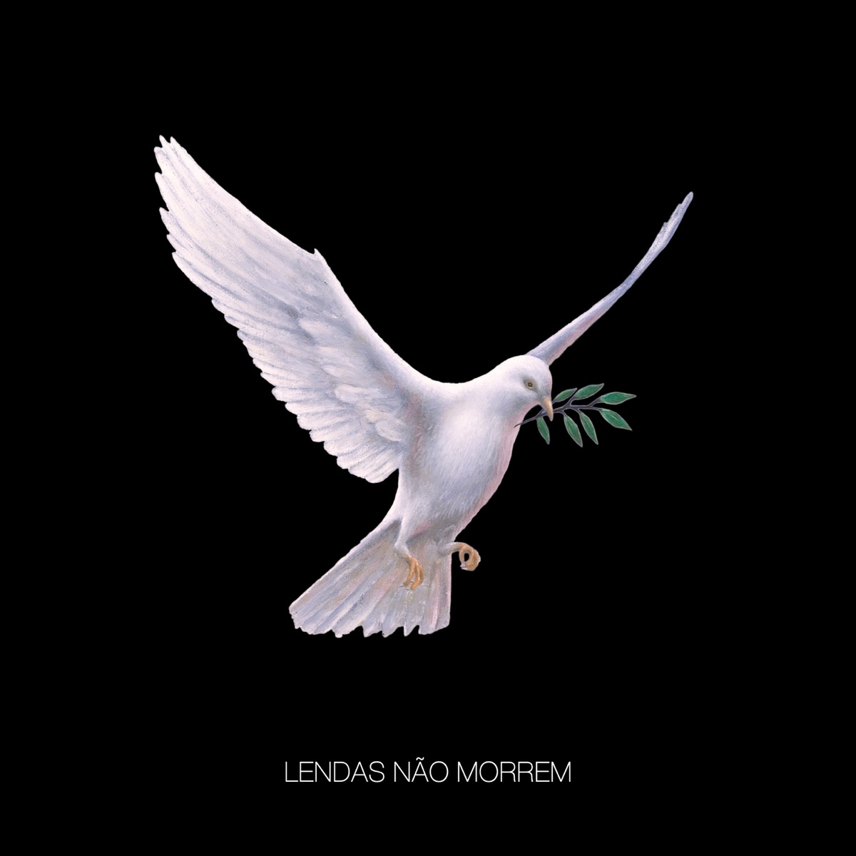L.N.M - Single by DANNILO album cover
