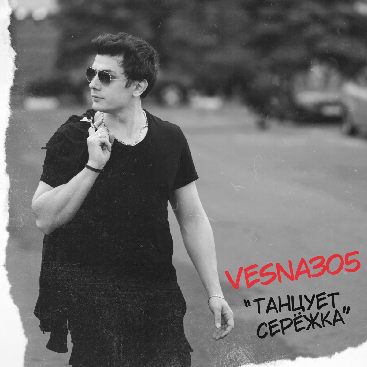 Танцует Серёжка - Single by VESNA305 album cover