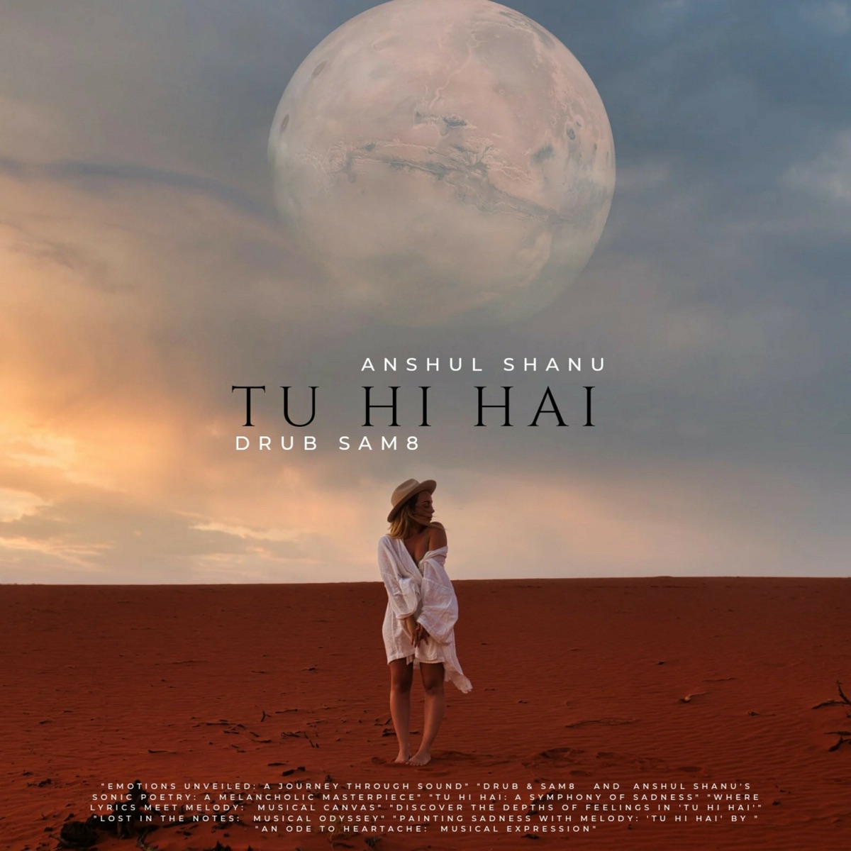 Tu Hi Hai - Single by Drub, SAM8 & Anshul Shanu album cover