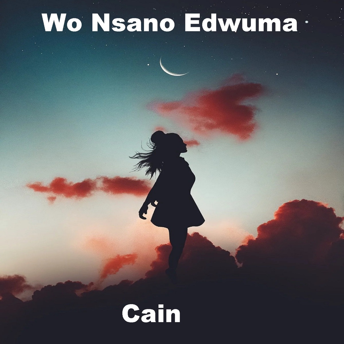 Wo Nsano Edwuma - Single by Cain album cover