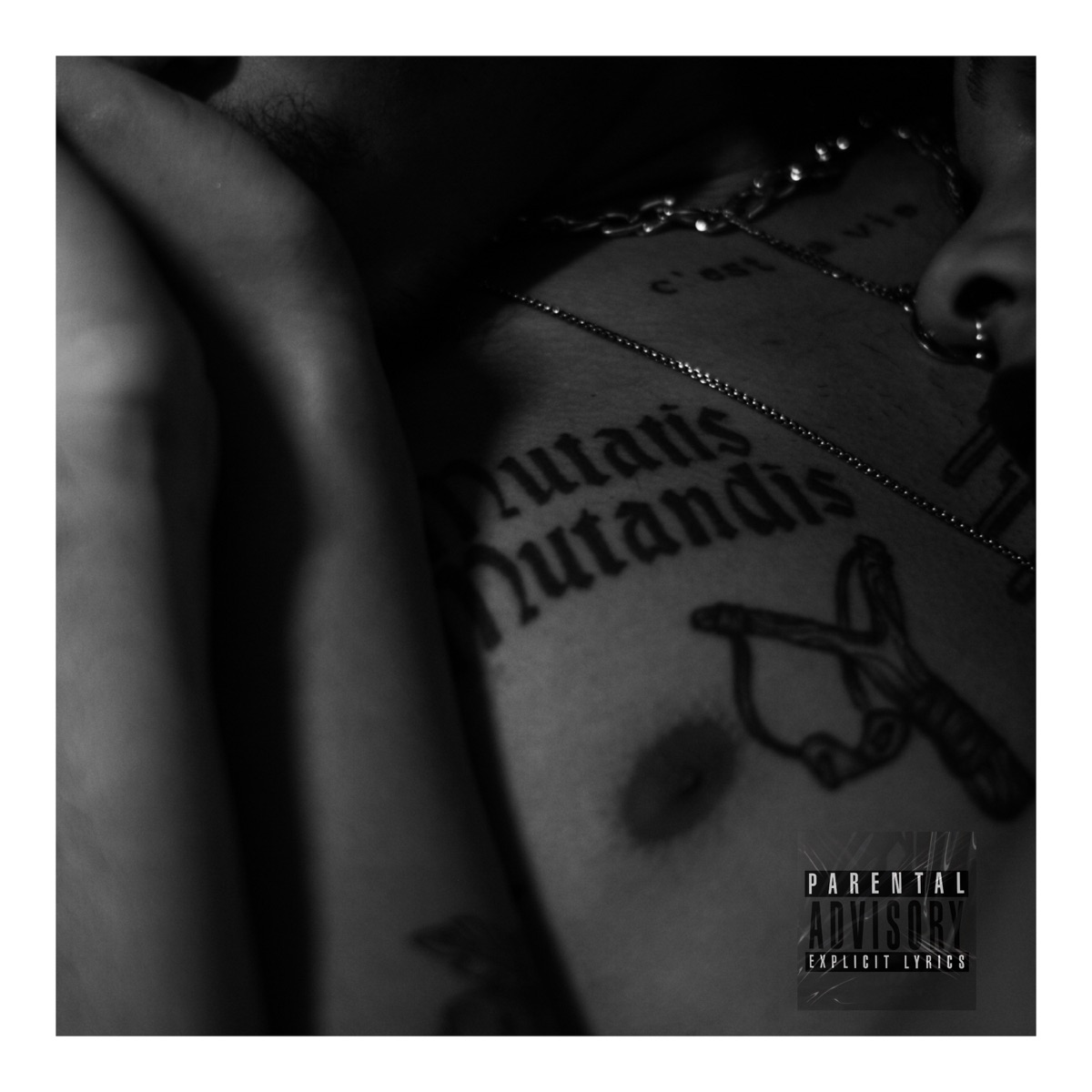 Libido Alto - Single by Bxrel album cover