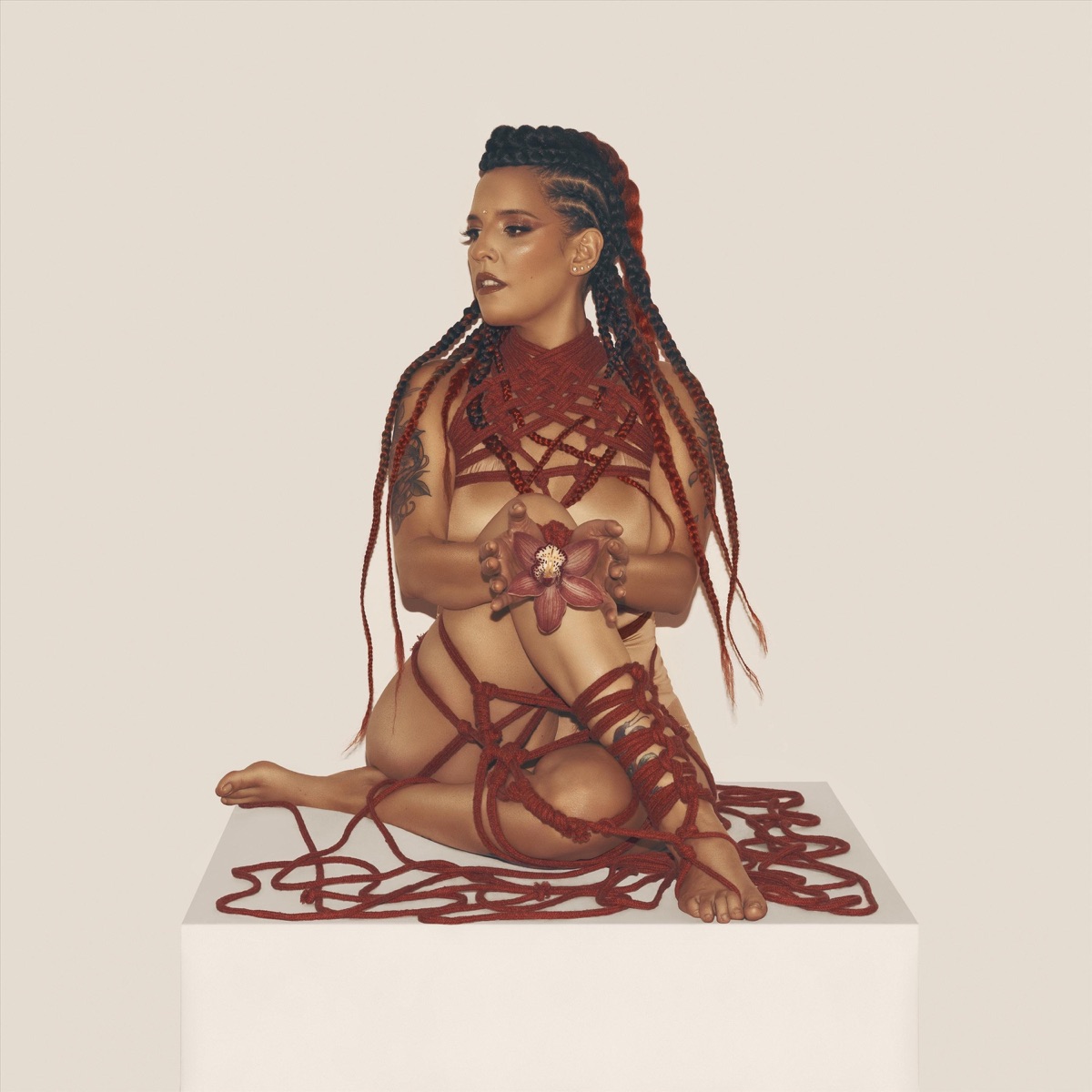 Todo No - Single by Ximbo album cover