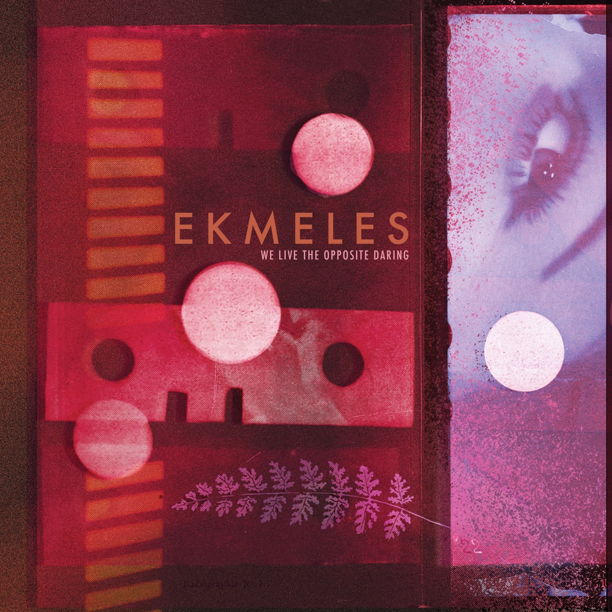 We Live the Opposite Daring by Ekmeles album cover