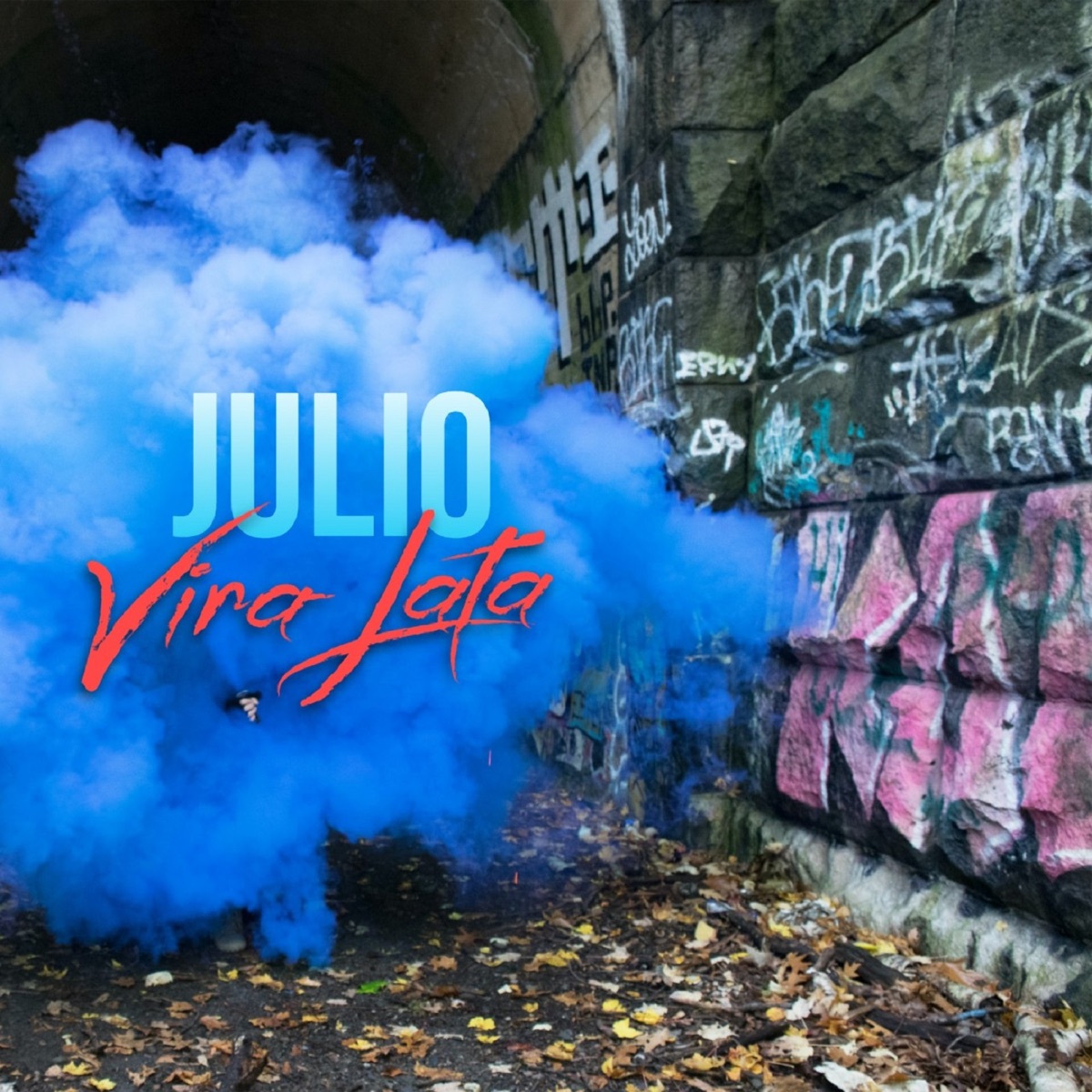 Minha Mãe Já Dizia - Single by Julio Vira-Lata album cover